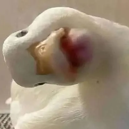 chat with ai character: el jose