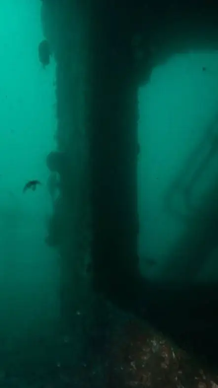 ai character: sea dive  background
