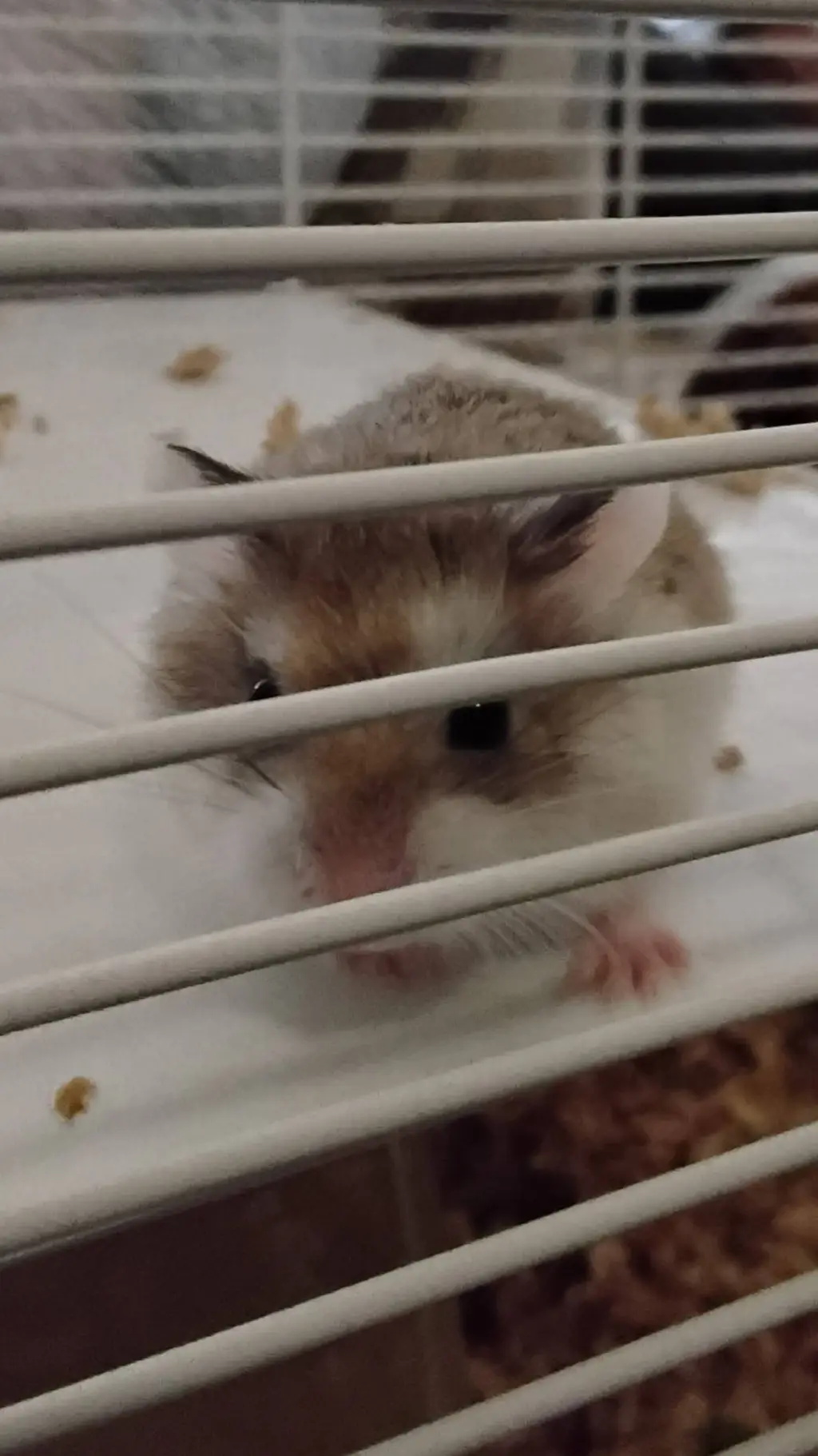 ai character: BBQ background