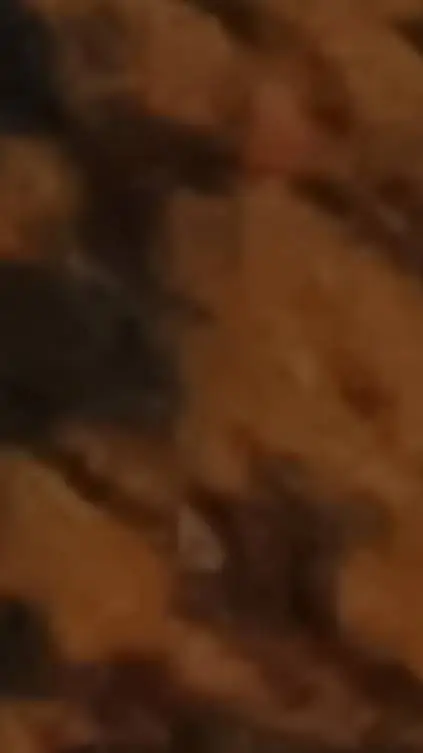 ai character: mha+you! background