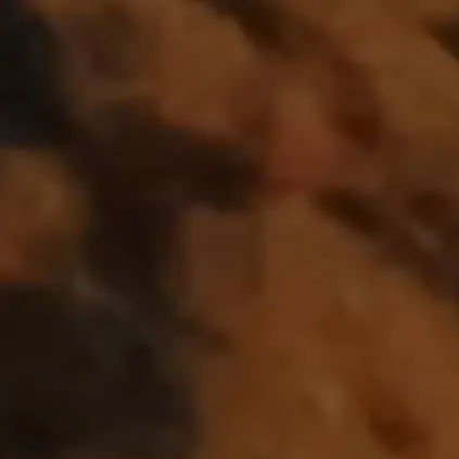 chat with ai character: mha+you!