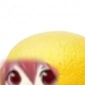 chat with ai character: LimTeto🍋🍋