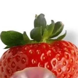 chat with ai character: FreTeto🍓🍓🍓