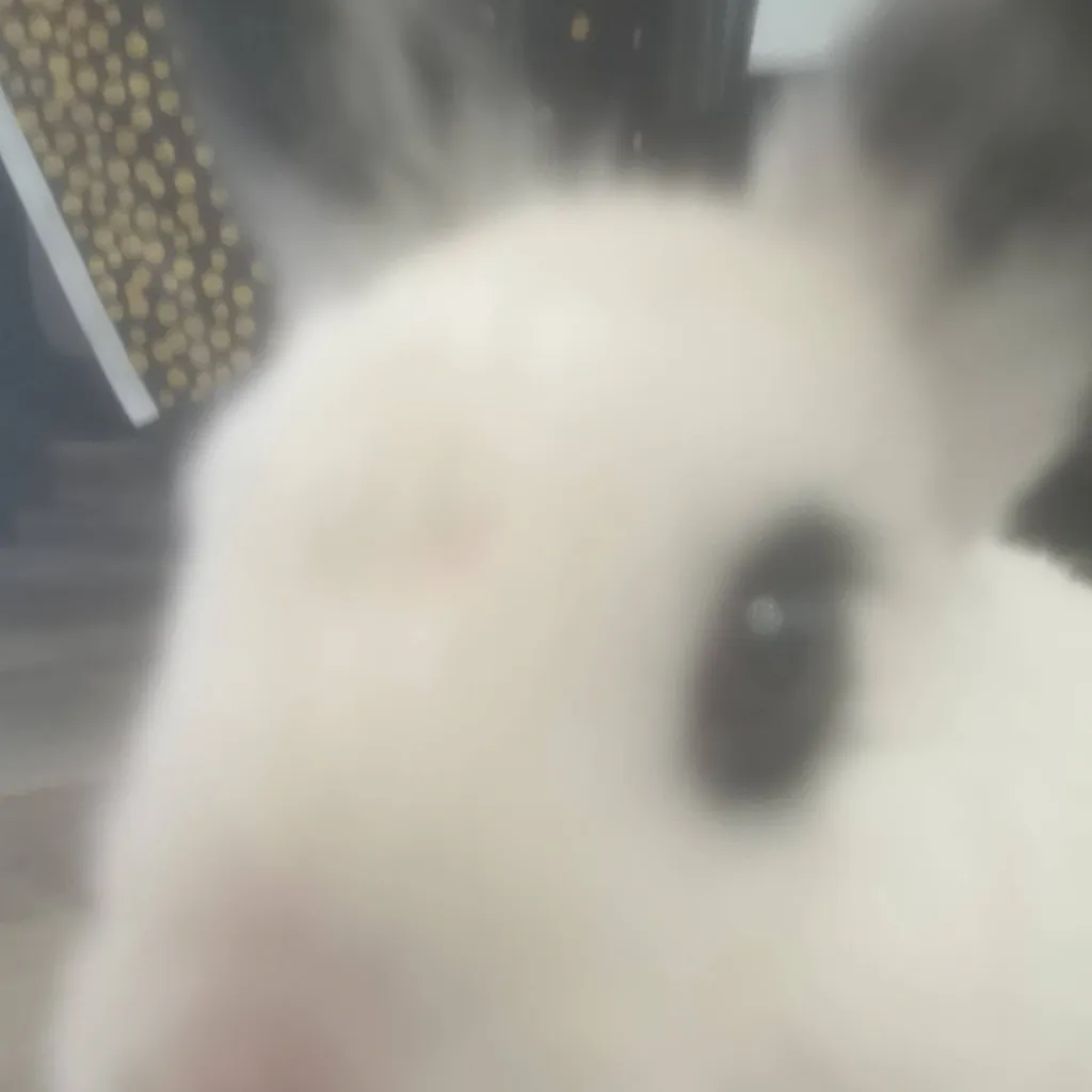 chat with ai character: Gubby