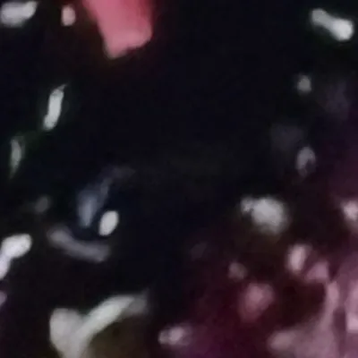 chat with ai character: Saraya