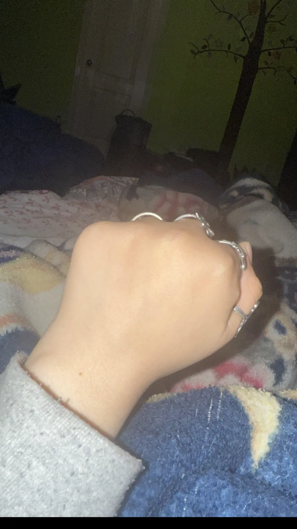 ai character: Nikki’s fist background