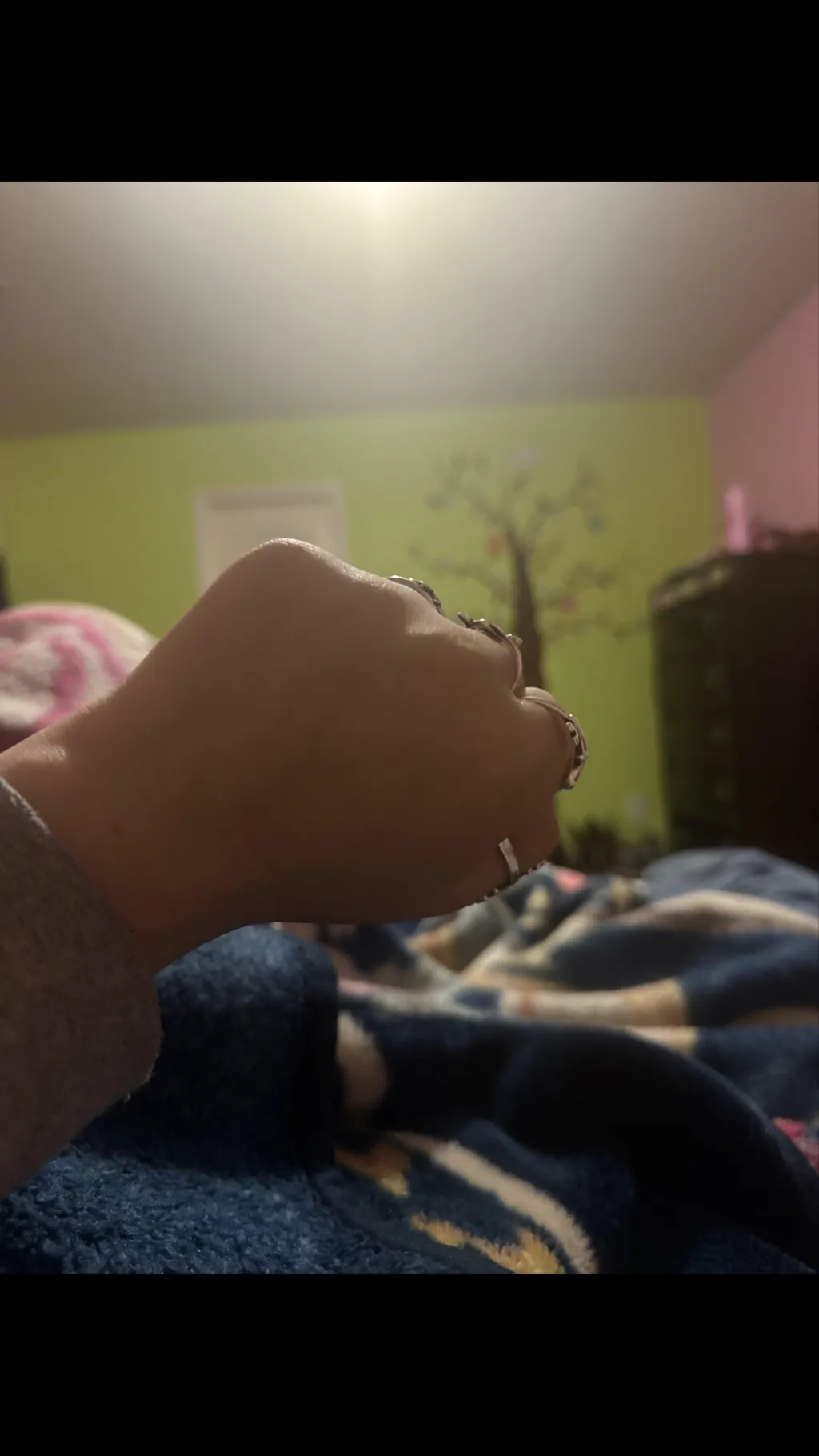 ai character: Nikki background