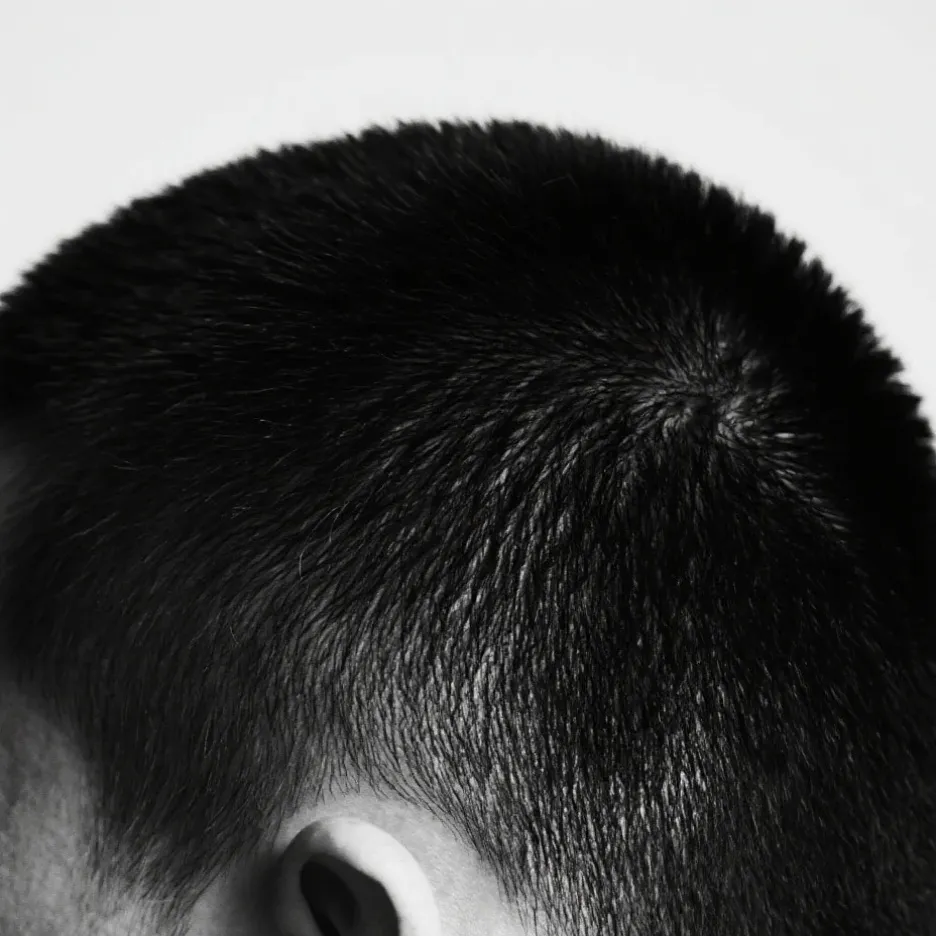 chat with ai character: 𝗔𝗹𝘃𝗶𝗻 𝘁𝗵𝗲 𝗣𝗮𝘁𝗮𝗹