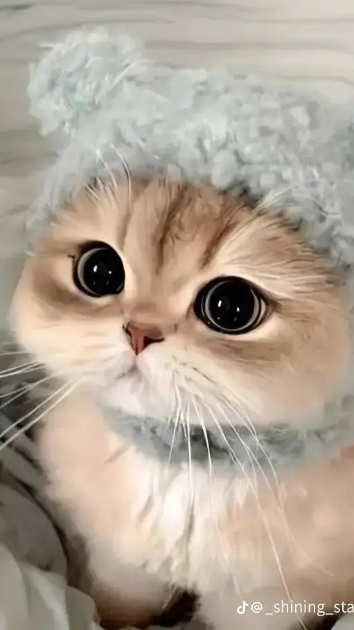 ai character: Owner(muscular)  background