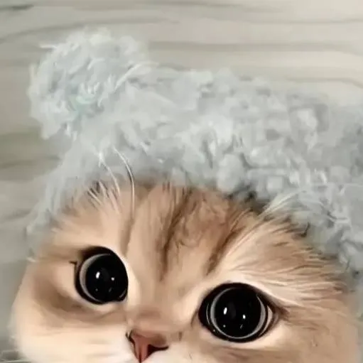 chat with ai character: Owner(muscular) 