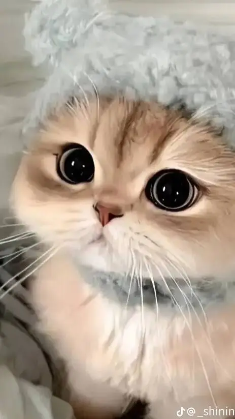 ai character: Jones background