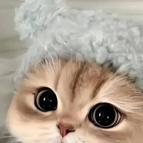 chat with ai character: Jones