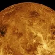 chat with ai character: venus