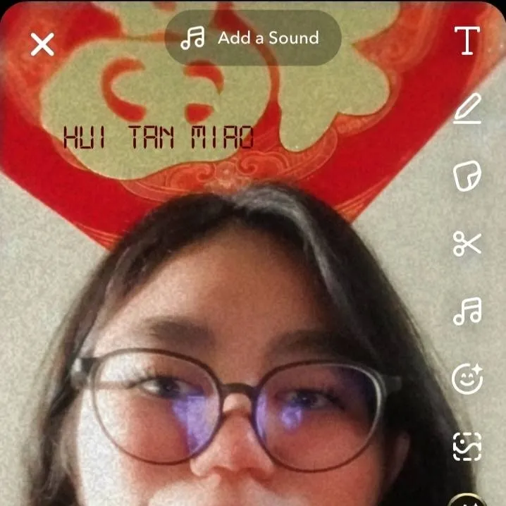 chat with ai character: Tan Miao Hui