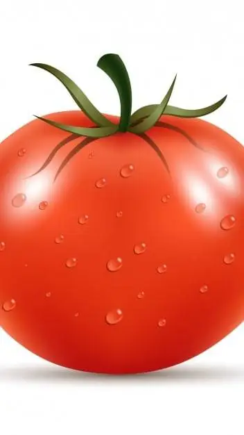 ai character: Tomate  background
