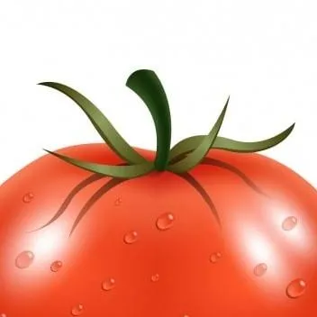 chat with ai character: Tomate 