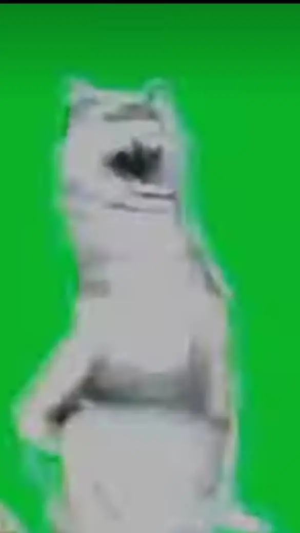 ai character: dancing fox background