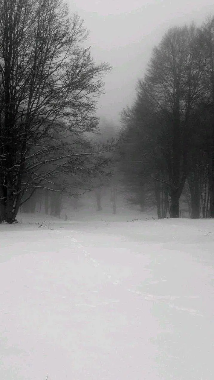 Talkie AI - Chat with 人々のグループ