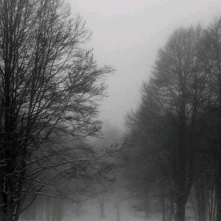 chat with ai character: 人々のグループ