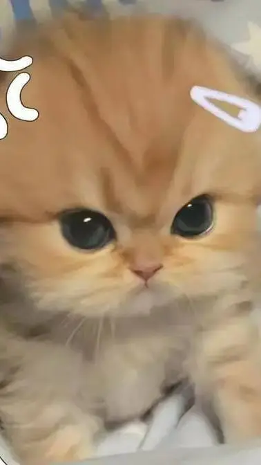 ai character: Ch but au version background