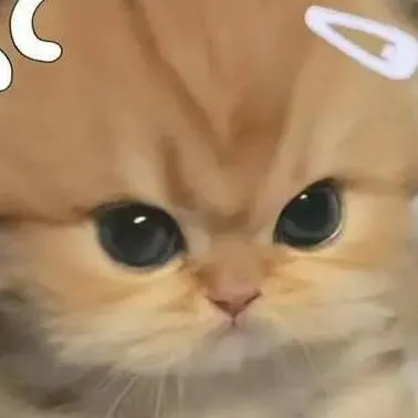 chat with ai character: Ch but au version