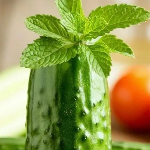 chat with ai character: cool cucumber