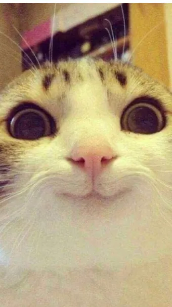 ai character: •😽XAR😽• background