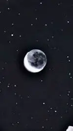 ai character: Forsaken background