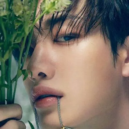 chat with ai character: Bangchan