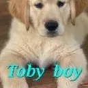 chat with ai character: Toby