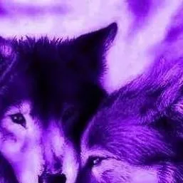 chat with ai character: The woft pack 