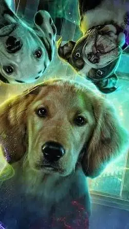 ai character: phantom pups  background