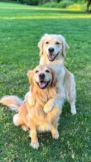 ai character: ellie and Emma  background