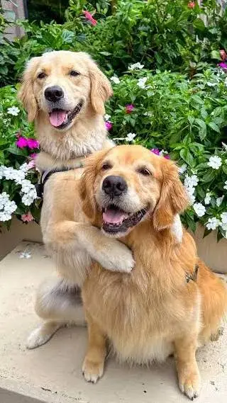 ai character: ellie and Emma  background