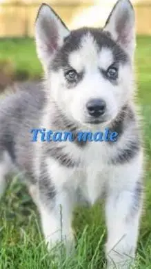 ai character: part 3(redo) background