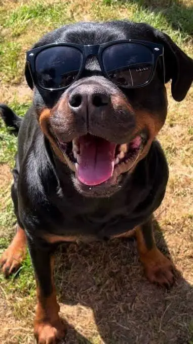 ai character: parks background