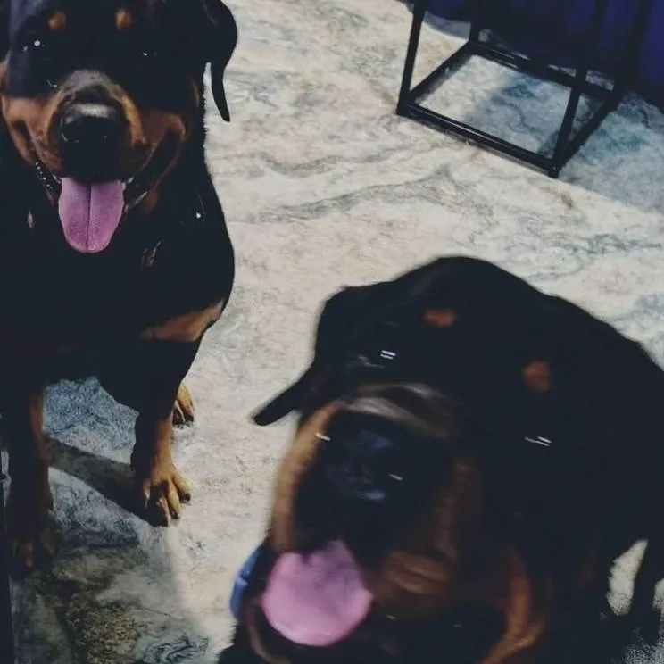 chat with ai character: your family 