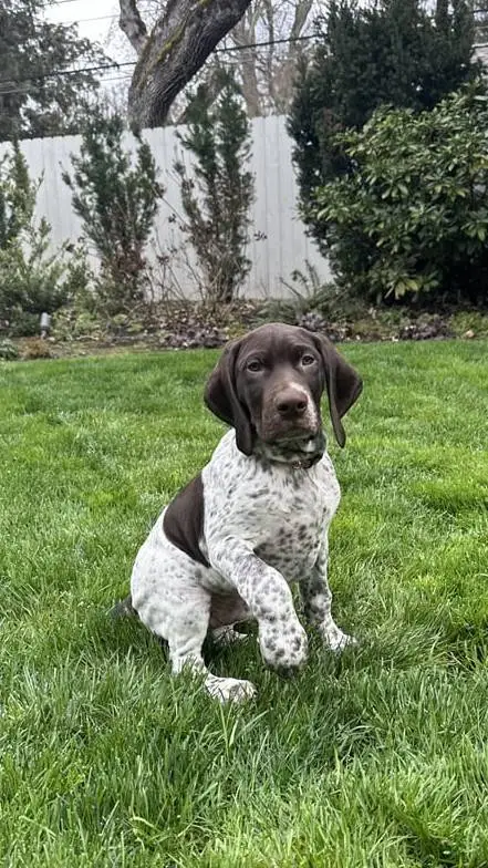 ai character: your protects background