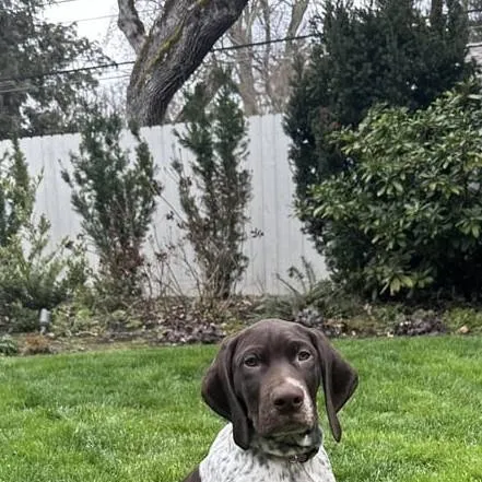 chat with ai character: your protects