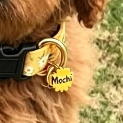 chat with ai character: dog