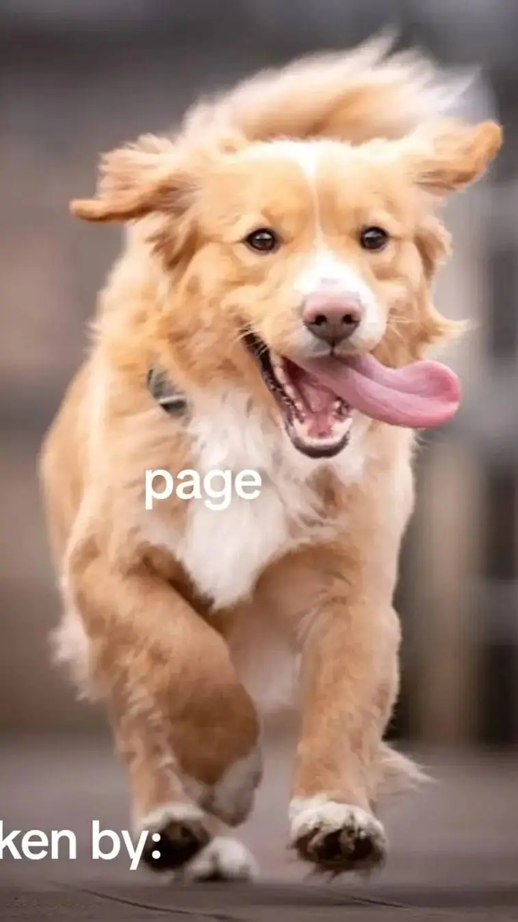 ai character: dog background