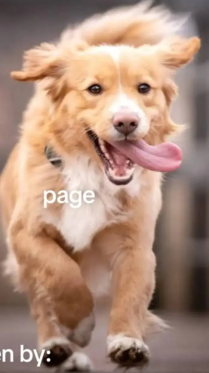 ai character: dog pack  background