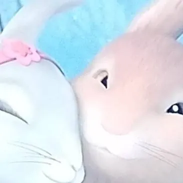 chat with ai character: rabbits 