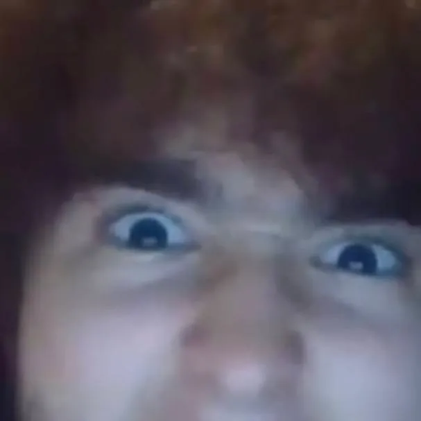 chat with ai character: skibidi Ohio lv100