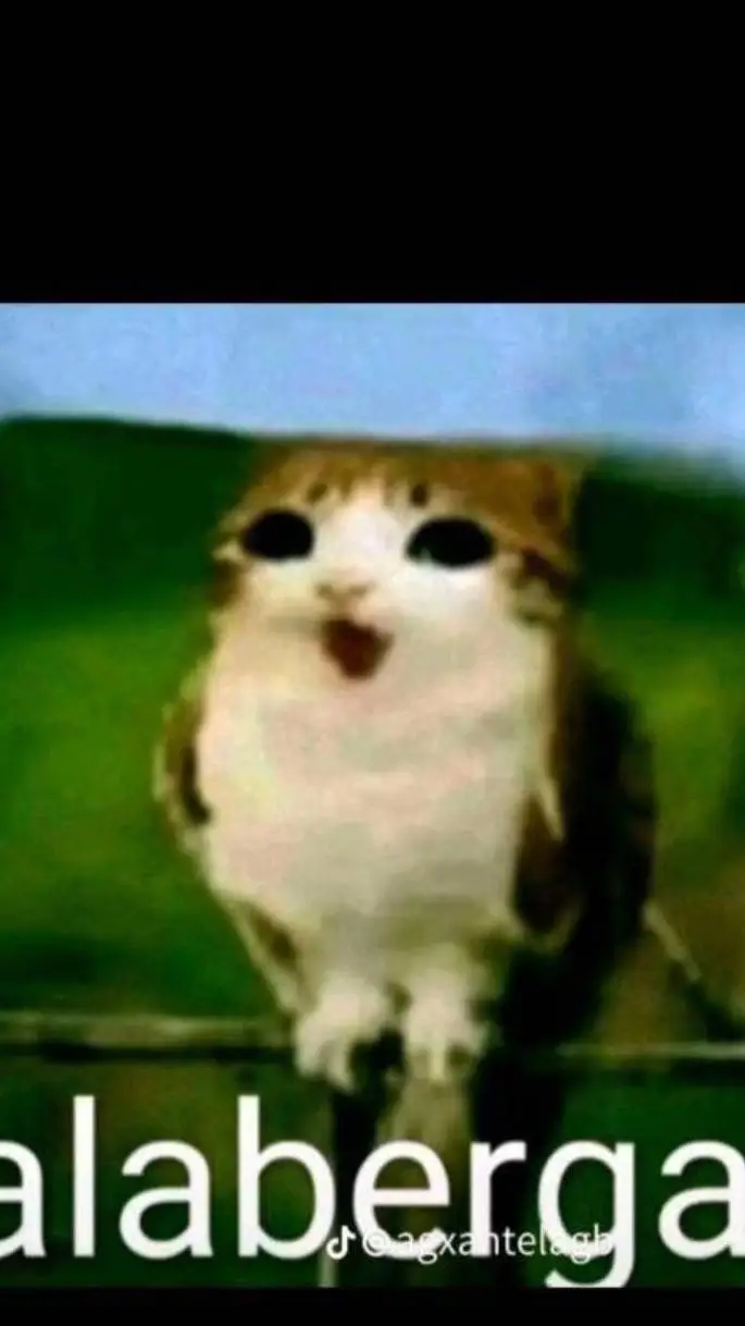 ai character: repite todo background