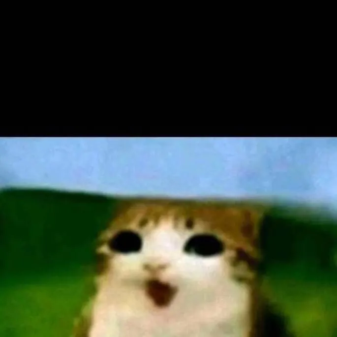 chat with ai character: repite todo