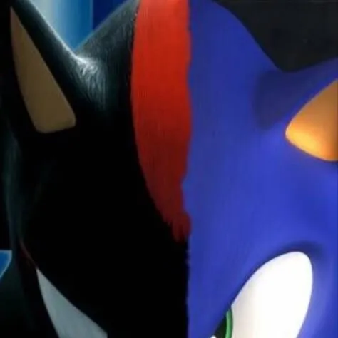 chat with ai character: Shadow the Hedgehog