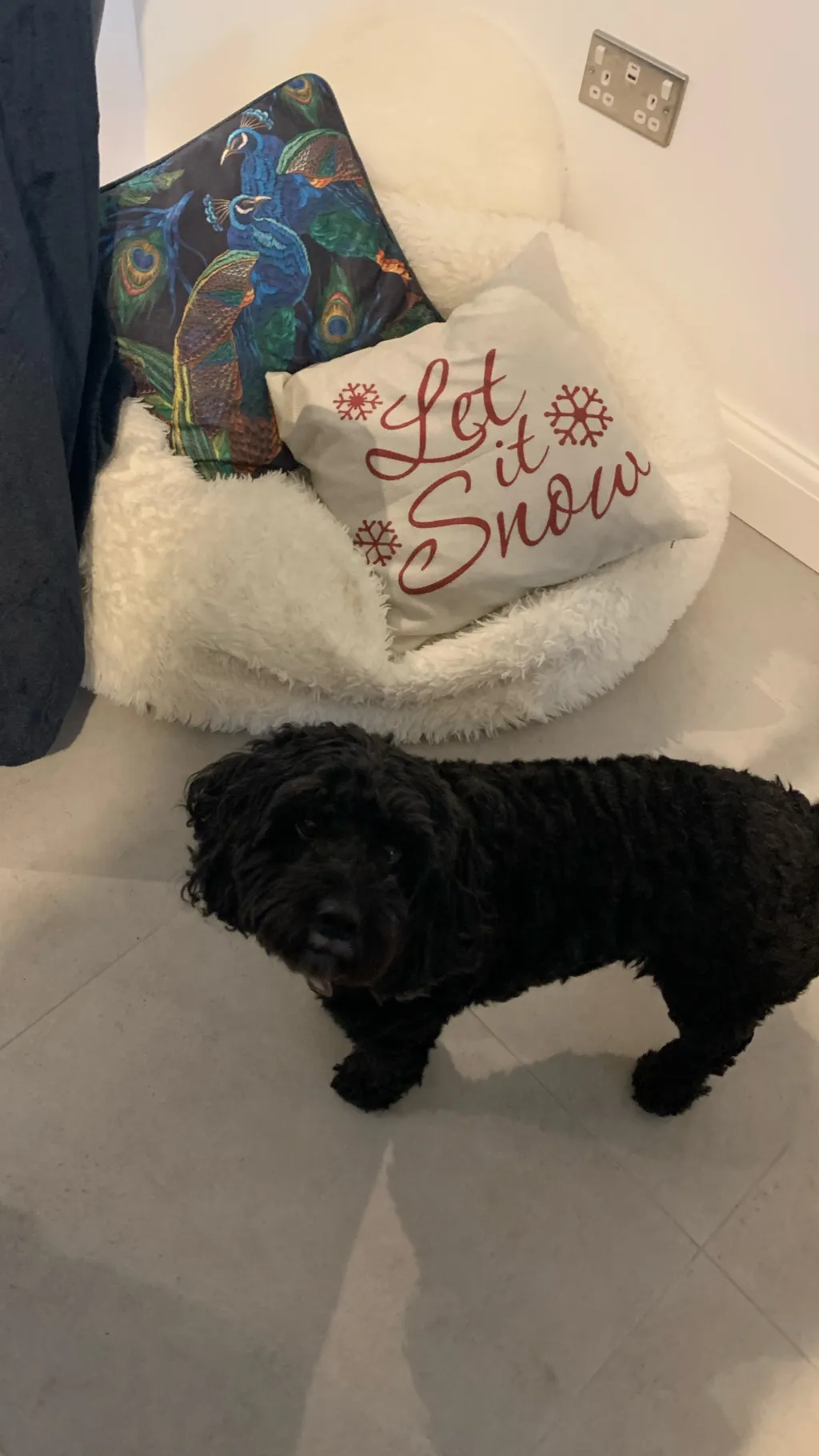 ai character: Give me requests! background