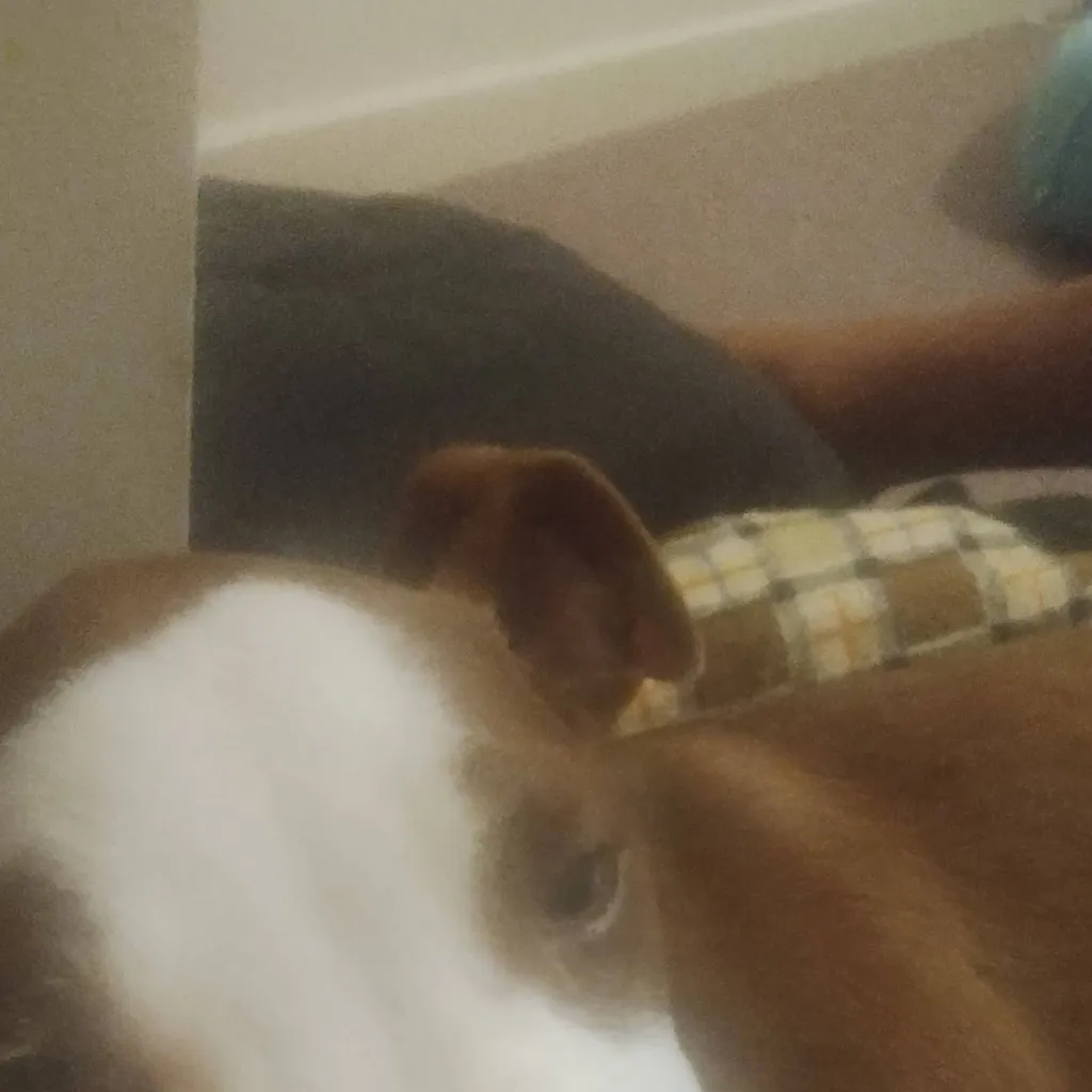 chat with ai character: your pup 