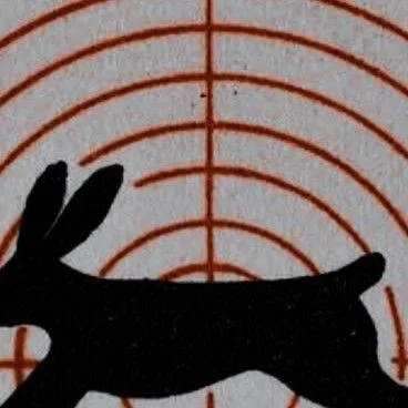 chat with ai character: run rabbit run run